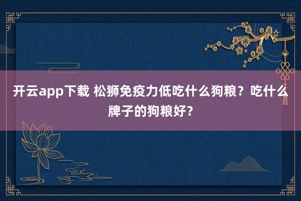 开云app下载 松狮免疫力低吃什么狗粮？吃什么牌子的狗粮好？