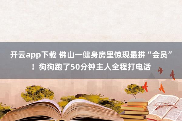 开云app下载 佛山一健身房里惊现最拼“会员”！狗狗跑了50分钟主人全程打电话