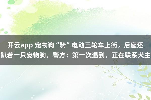 开云app 宠物狗“骑”电动三轮车上街，后座还趴着一只宠物狗，警方：第一次遇到，正在联系犬主