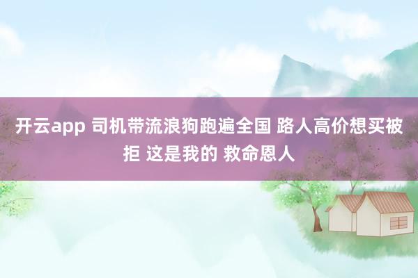 开云app 司机带流浪狗跑遍全国 路人高价想买被拒 这是我的 救命恩人