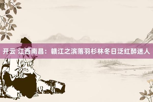 开云 江西南昌：赣江之滨落羽杉林冬日泛红醉迷人