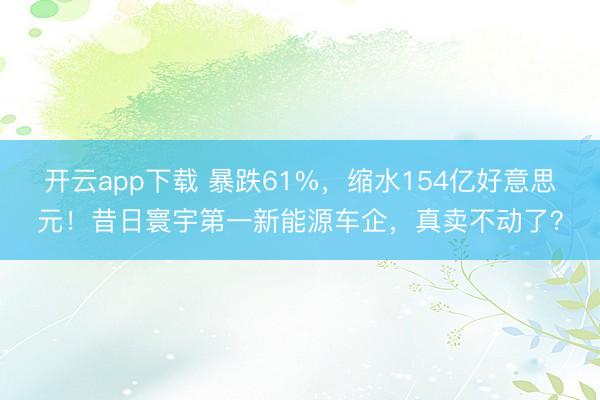 开云app下载 暴跌61%,缩水154亿好意思元!昔日寰宇第一新能源车企,真卖不动了?