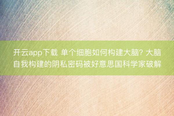 开云app下载 单个细胞如何构建大脑? 大脑自我构建的阴私密码被好意思国科学家破解