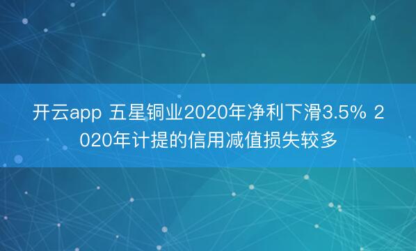 开云app 五星铜业2020年净利下滑3.5% 2020年计提的信用减值损失较多