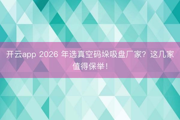开云app 2026 年选真空码垛吸盘厂家？这几家值得保举！