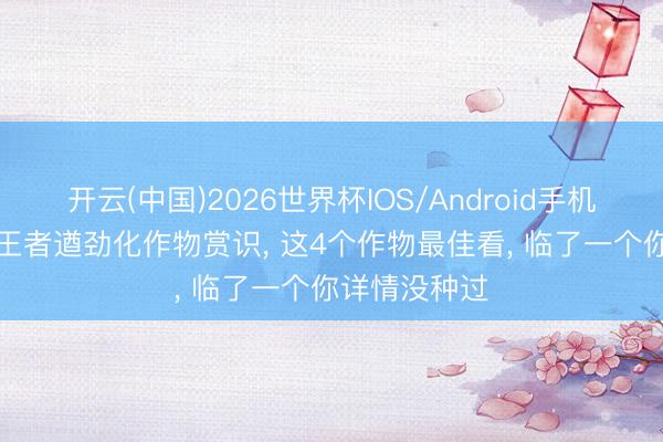 开云(中国)2026世界杯IOS/Android手机通用版app 王者遒劲化作物赏识， 这4个作物最佳看， 临了一个你详情没种过