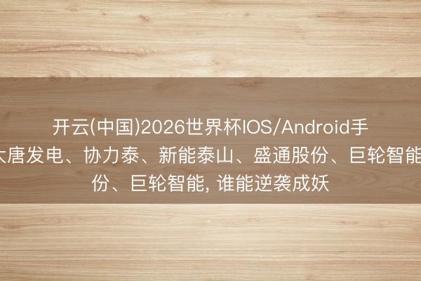 开云(中国)2026世界杯IOS/Android手机通用版app 大唐发电、协力泰、新能泰山、盛通股份、巨轮智能， 谁能逆袭成妖