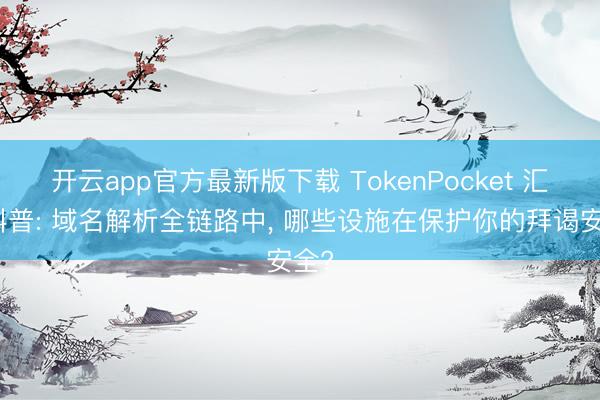 开云app官方最新版下载 TokenPocket 汇集科普: 域名解析全链路中， 哪些设施在保护你的拜谒安全?
