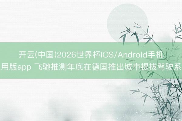 开云(中国)2026世界杯IOS/Android手机通用版app 飞驰推测年底在德国推出城市提拔驾驶系统
