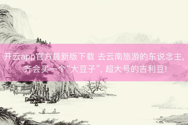 开云app官方最新版下载 去云南旅游的东说念主， 齐会买一个“大豆子”， 超大号的吉利豆!