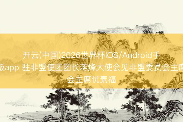 开云(中国)2026世界杯IOS/Android手机通用版app 驻非盟使团团长蒋烽大使会见非盟委员会主席优素福