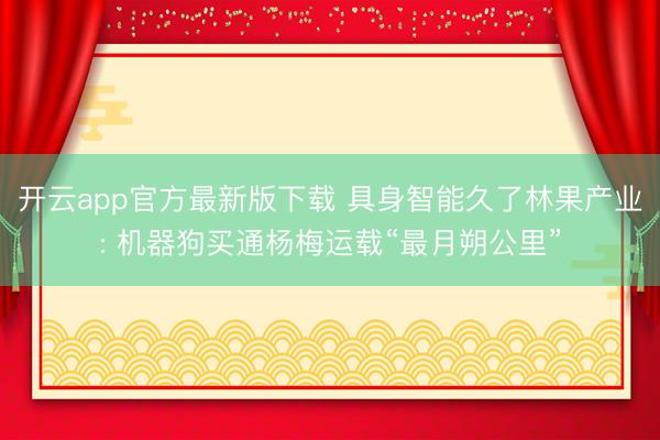 开云app官方最新版下载 具身智能久了林果产业: 机器狗买通杨梅运载“最月朔公里”