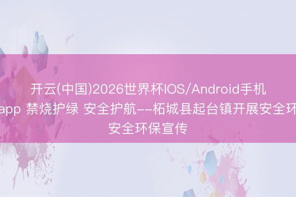 开云(中国)2026世界杯IOS/Android手机通用版app 禁烧护绿 安全护航--柘城县起台镇开展安全环保宣传